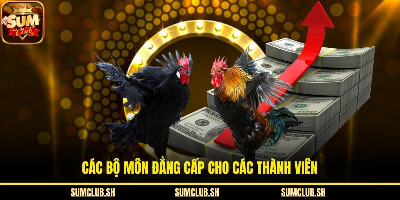 Các bộ môn đẳng cấp cho các thành viên
