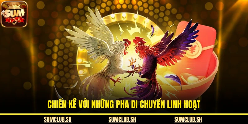Chiến kê với những pha di chuyển linh hoạt