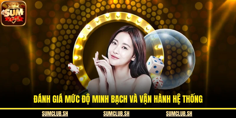 Đánh giá mức độ minh bạch và vận hành hệ thống