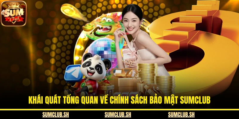 Khái quát tổng quan về chính sách bảo mật SUMCLUB