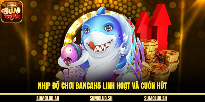 Nhịp độ chơi Bancah5 linh hoạt và cuốn hút