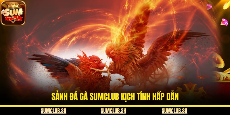 Sảnh đá gà SUMCLUB kịch tính hấp dẫn