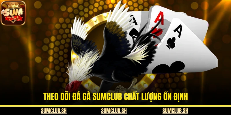 Theo dõi đá gà SUMCLUB chất lượng ổn định
