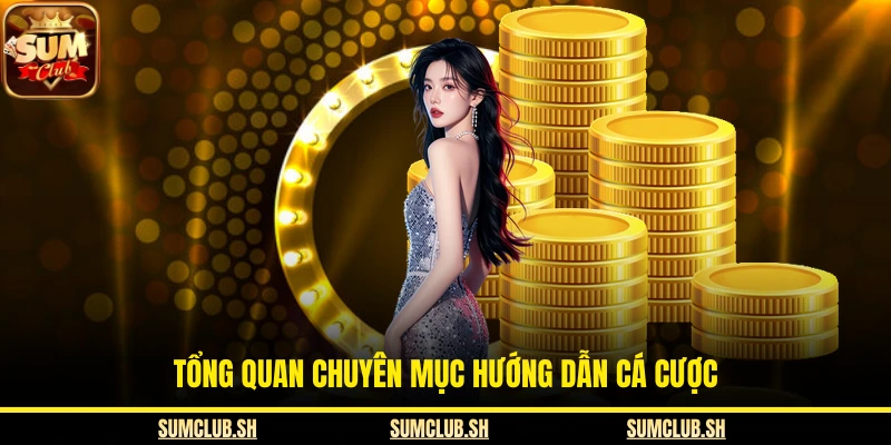 Tổng quan chuyên mục hướng dẫn cá cược 