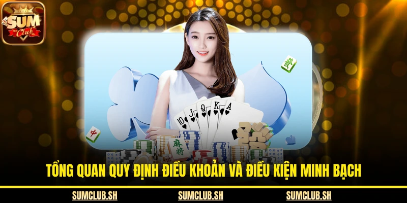 Tổng quan quy định điều khoản và điều kiện minh bạch