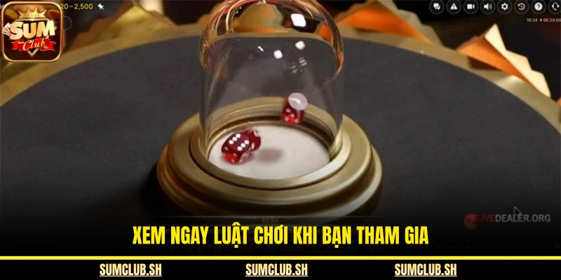 Xem ngay luật chơi khi bạn tham gia
